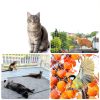 Cat Balcony Net Funvalley Surperfect Nylon Safety Anti Fall-5