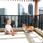 JUMXSRLE Cat Balcony Net Wall Mount Pet Safety Barrier-0