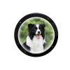 Kakalote Pet Window Durable Acrylic Dome Pet Fence-4