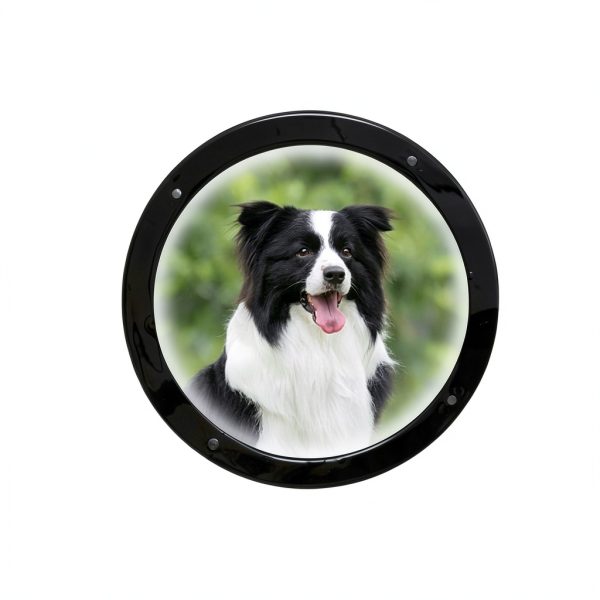 Kakalote Pet Window Durable Acrylic Dome Pet Fence-4