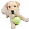 Kakalote Pet Window Durable Acrylic Dome Pet Fence-2