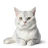 AIYGO Cat Balcony Net Durable Nylon Safety Barrier-0