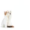 Cat Balcony Net HDPE Stainless Steel Pet Safety Screen-0