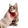 AnExer Cat Balcony Net Safety Protection Durable Nylon-1