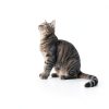 Cat Balcony Net Funvalley Surperfect Nylon Safety Anti Fall-4