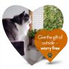 Cat Balcony Netting Bite Resistant Mesh by Primal Purr-5