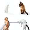 Azure Cantara Cat Balcony Netting White Nylon Pet Safety-6
