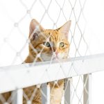 Cat Balcony Net Funvalley Surperfect Nylon Safety Anti Fall-0